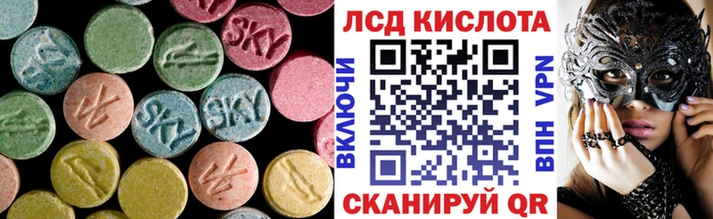 где можно купить   Каменногорск  LSD-25 экстази кислота 